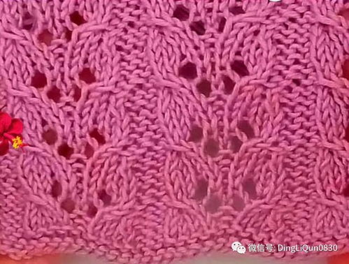 針織作品 30個毛衣 毯子等的針織針跡圖案設計